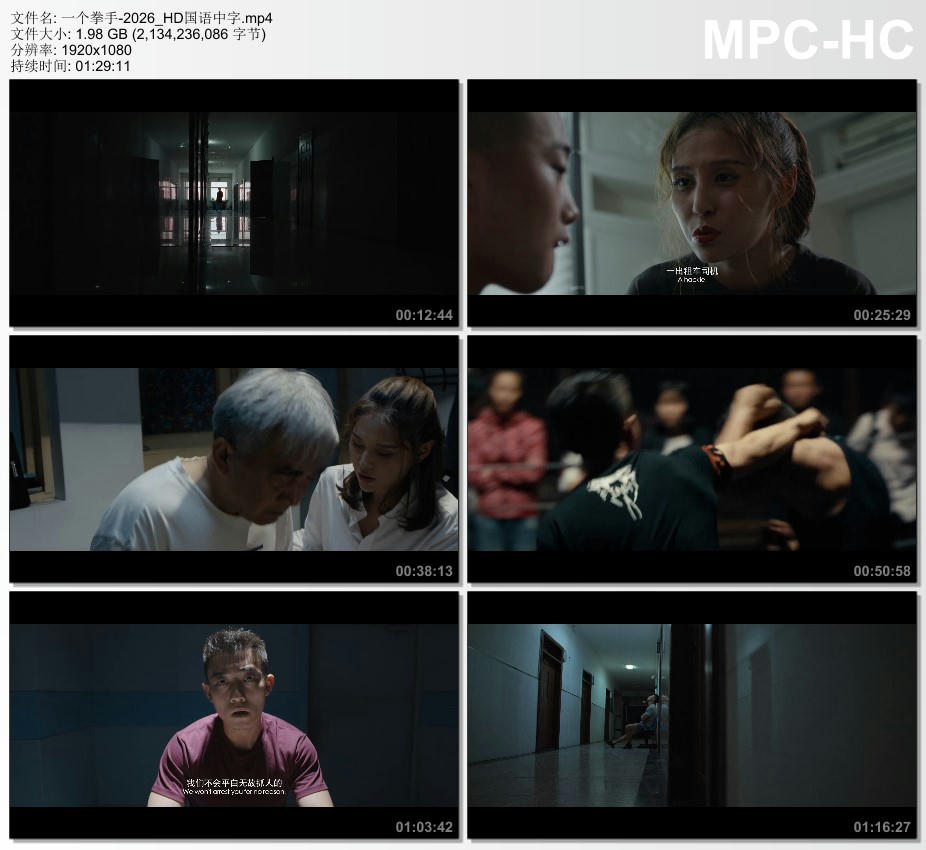 2026年国产动作片《一个拳手》HD国语中字