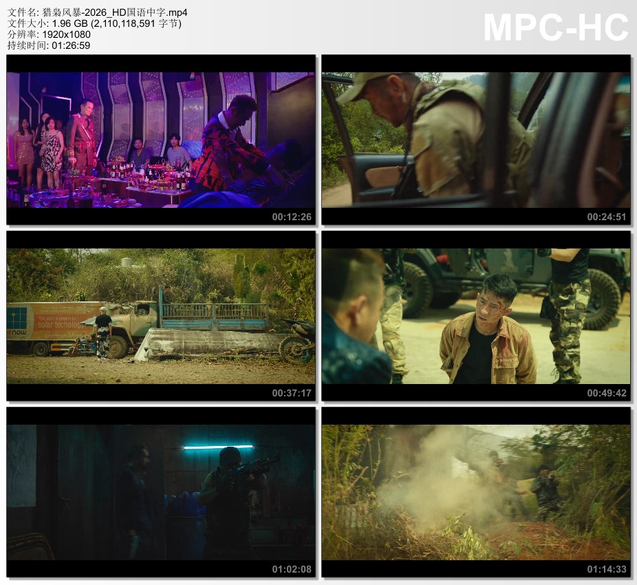 2026年国产动作片《猎枭风暴》HD国语中字