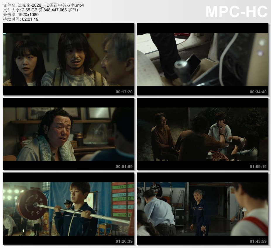 2026年国产6.6分剧情片《过家家》HD国语中英双字