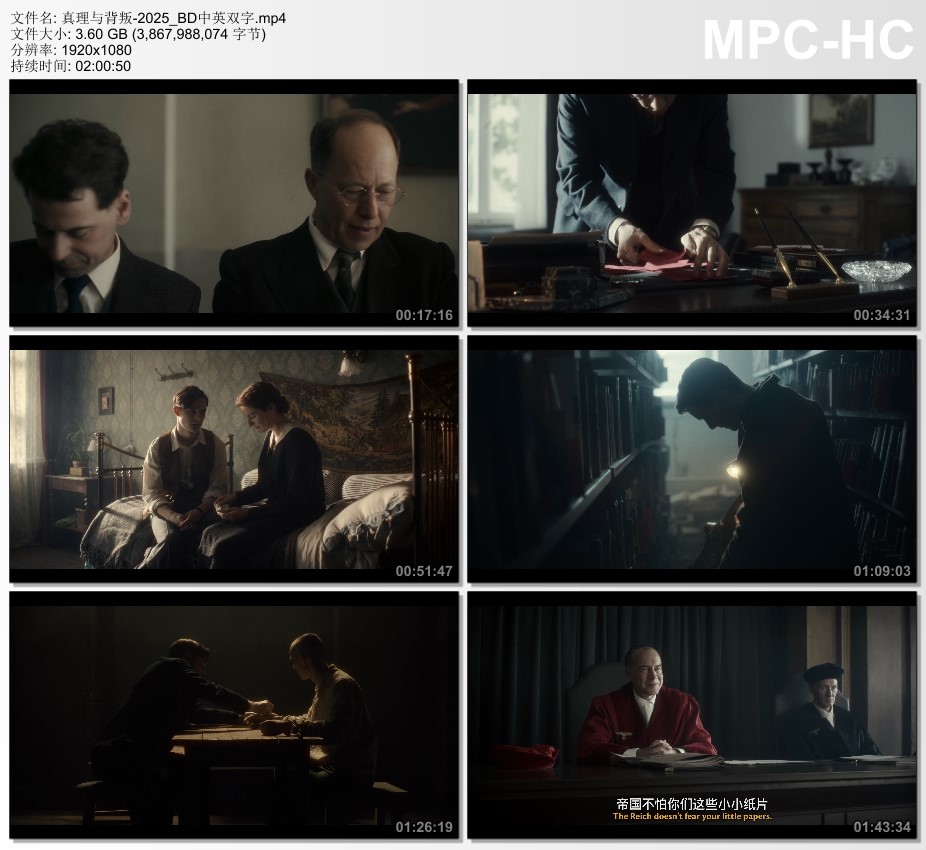 2025年立陶宛惊悚片《真理与背叛》BD中英双字