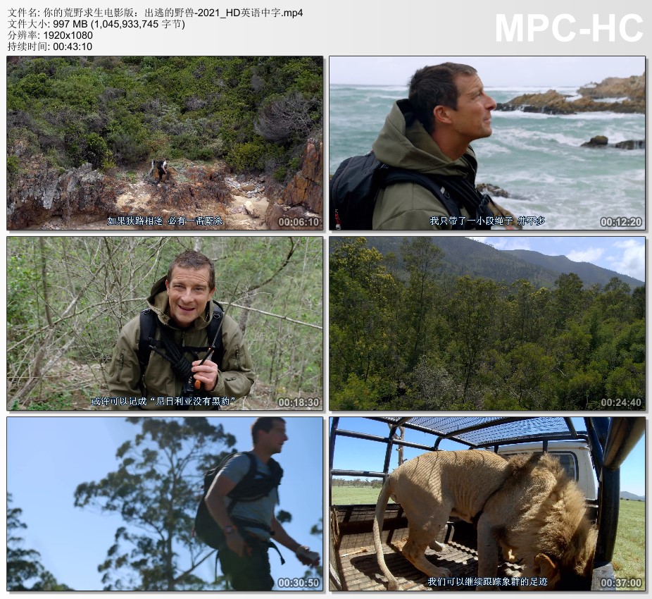 2021年美国冒险片《你的荒野求生电影版：出逃的野兽》HD英语中字