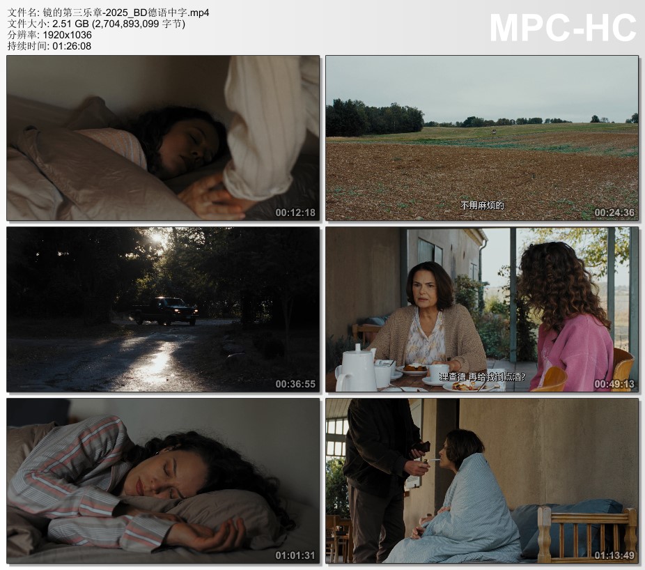 2025年德国7.4分剧情片《镜的第三乐章》BD德语中字