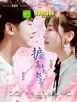 2018年国产电视剧《护花高手在都市》 全第15集