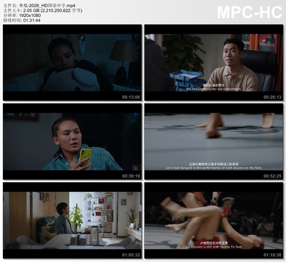 2026年国产动作片《拳凰》HD国语中字