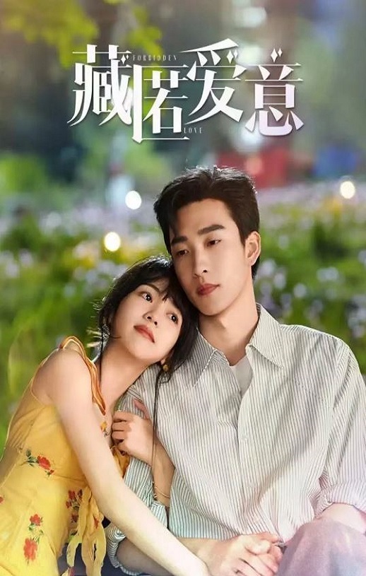 2026年国产电视剧《藏匿爱意》 全第24集