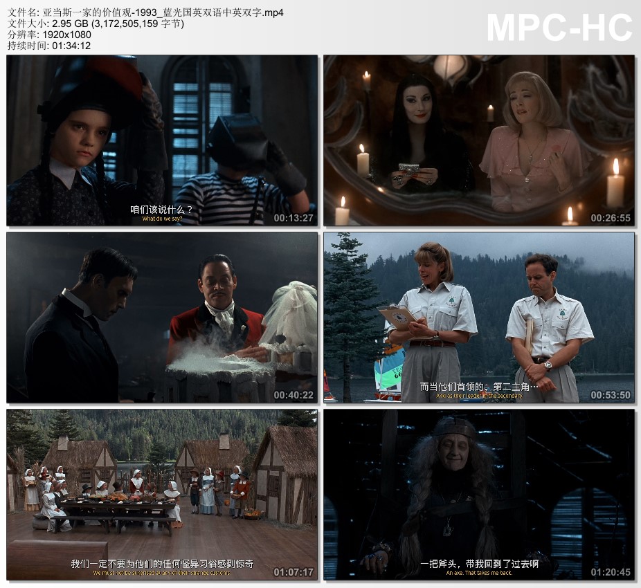 1993年美国经典喜剧片《亚当斯一家的价值观》蓝光国英双语中英双字
