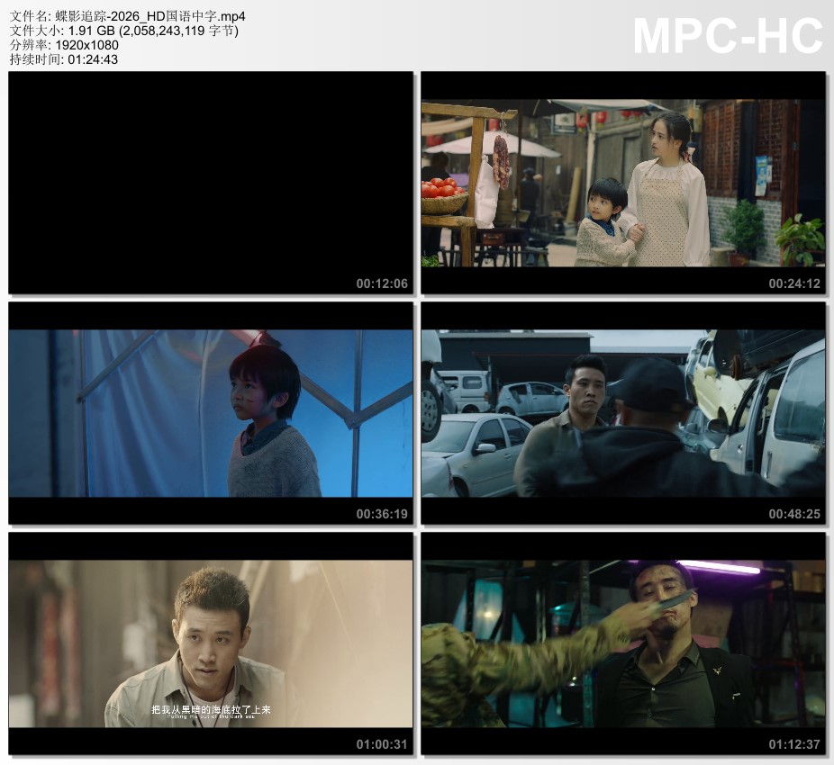 2026年国产电影《蝶影追踪》HD国语中字