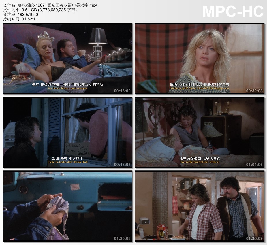 1987年美国电影《落水姻缘》蓝光国英双语中英双字