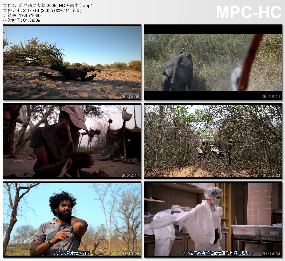 2025年美国纪录片《追寻幽灵大象》 HD英语中字