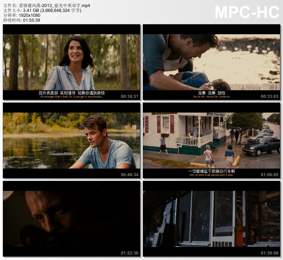 2013年美国电影《爱情避风港》蓝光中英双字