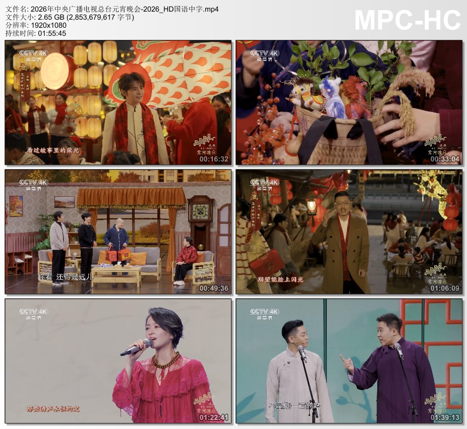 2026年中央广播电视总台元宵晚会HD国语中字