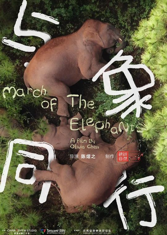 2022年国产纪录片《与象同行》 连载至HD国语中字