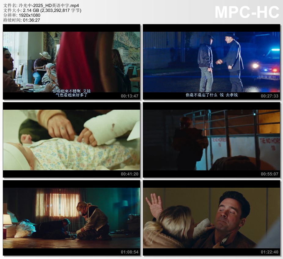 2025年加拿大动作片《冷光中》HD英语中字