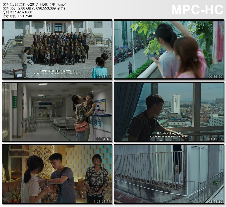 2017年国产电影《路过未来》HD国语中字