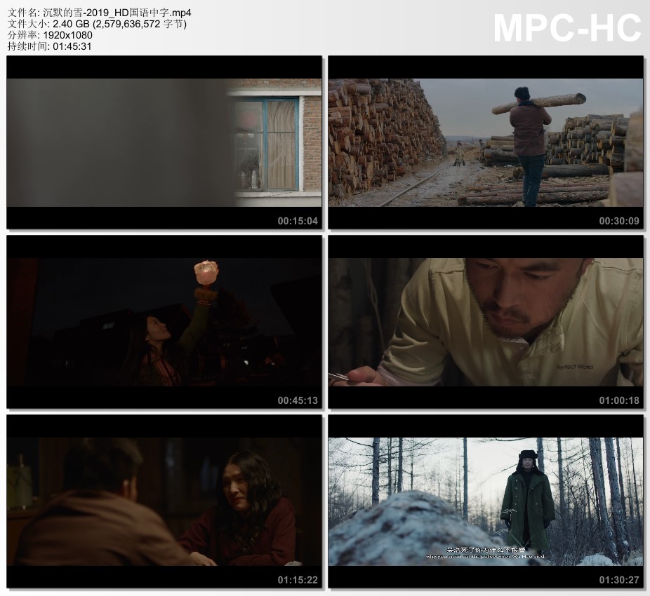 2019年国产悬疑片《沉默的雪》HD国语中字