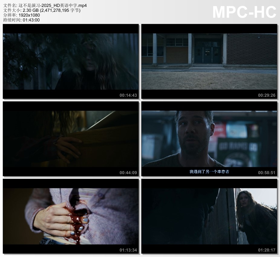 2025年加拿大电影《这不是演习》HD英语中字