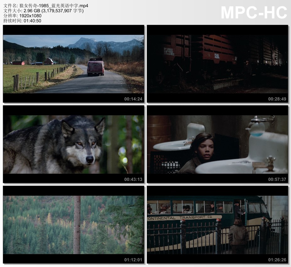 1985年美国冒险片《狼女传奇》蓝光英语中字