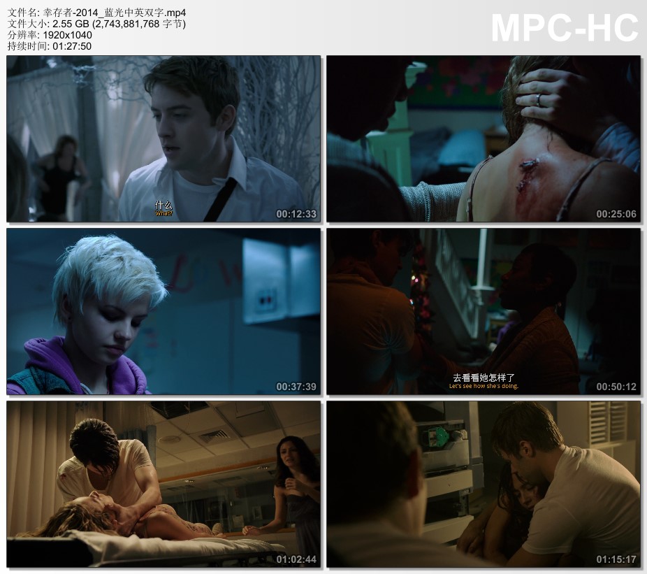 2014年美国经典惊悚片《幸存者》蓝光中英双字