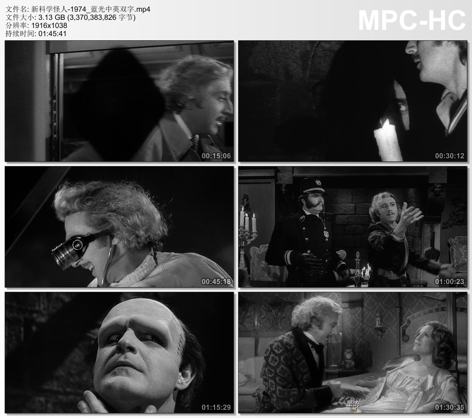 1974年美国电影《新科学怪人》蓝光中英双字