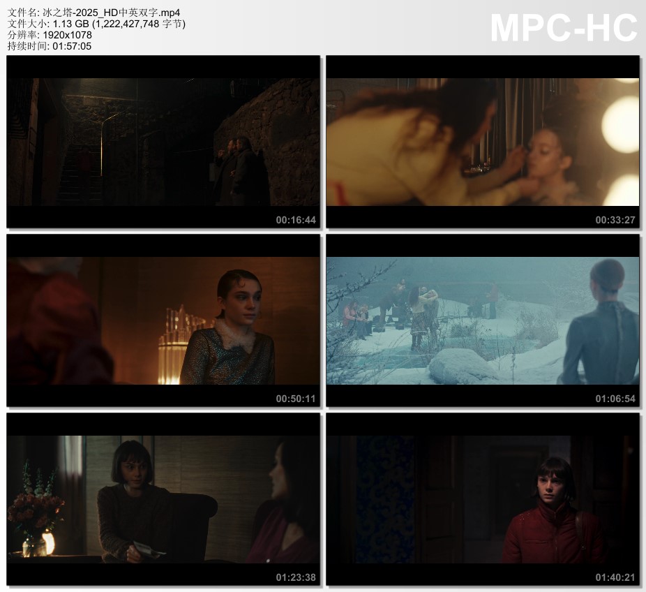 2025年法国电影《冰之塔》HD中英双字
