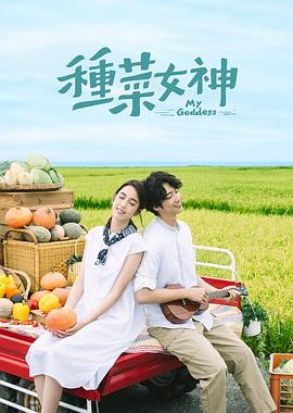 2018年中国台湾电视剧《种菜女神》 全