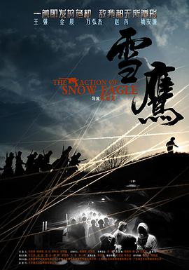 2013年国产电视剧《雪鹰》 全第34集