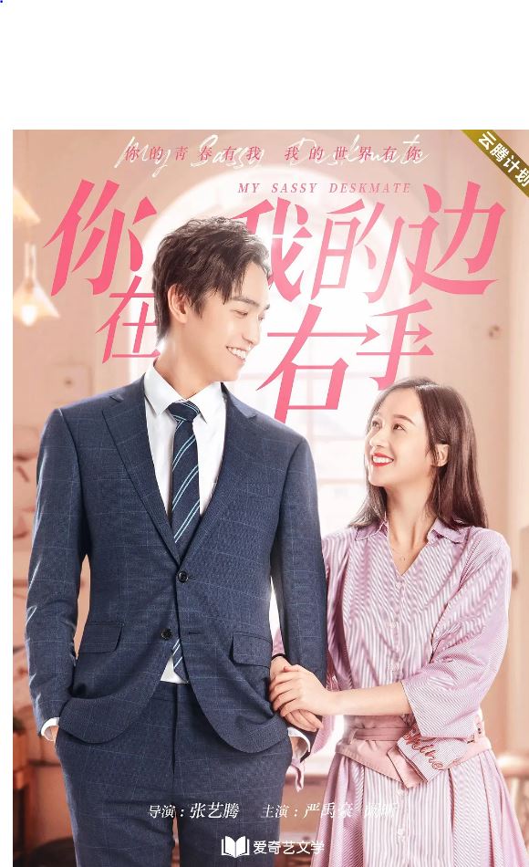 2020年国产电视剧《你在我的右手边》 全第24集