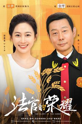 2025年大陆电视剧《法官的荣耀》 全第05集