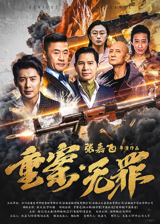 2026年大陆电影《重案·无罪》HD国语