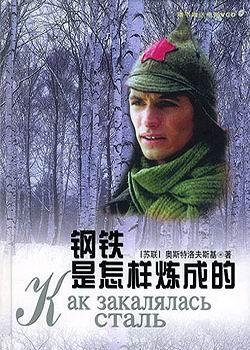 2000年国产电视剧《钢铁是怎样炼成的》 全第20集