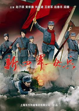 2009年国产电视剧《新四军女兵》 全第28集