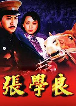 2002年国产电视剧《张学良》 全第22集