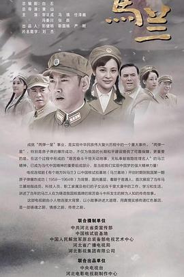 2017年国产电视剧《走进马兰》 全第29集